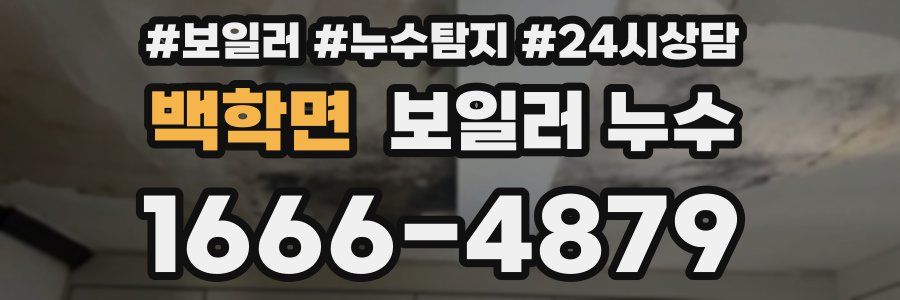 백학면 누수탐지