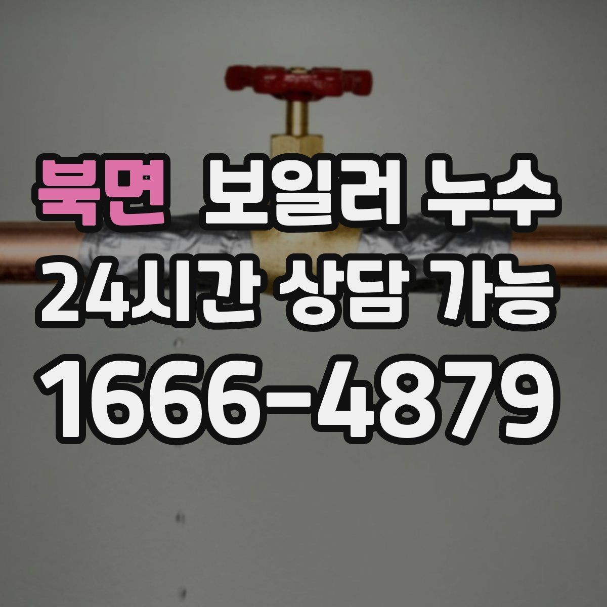 북면 보일러 누수 물자국은 작은데 습기가 큰 이유