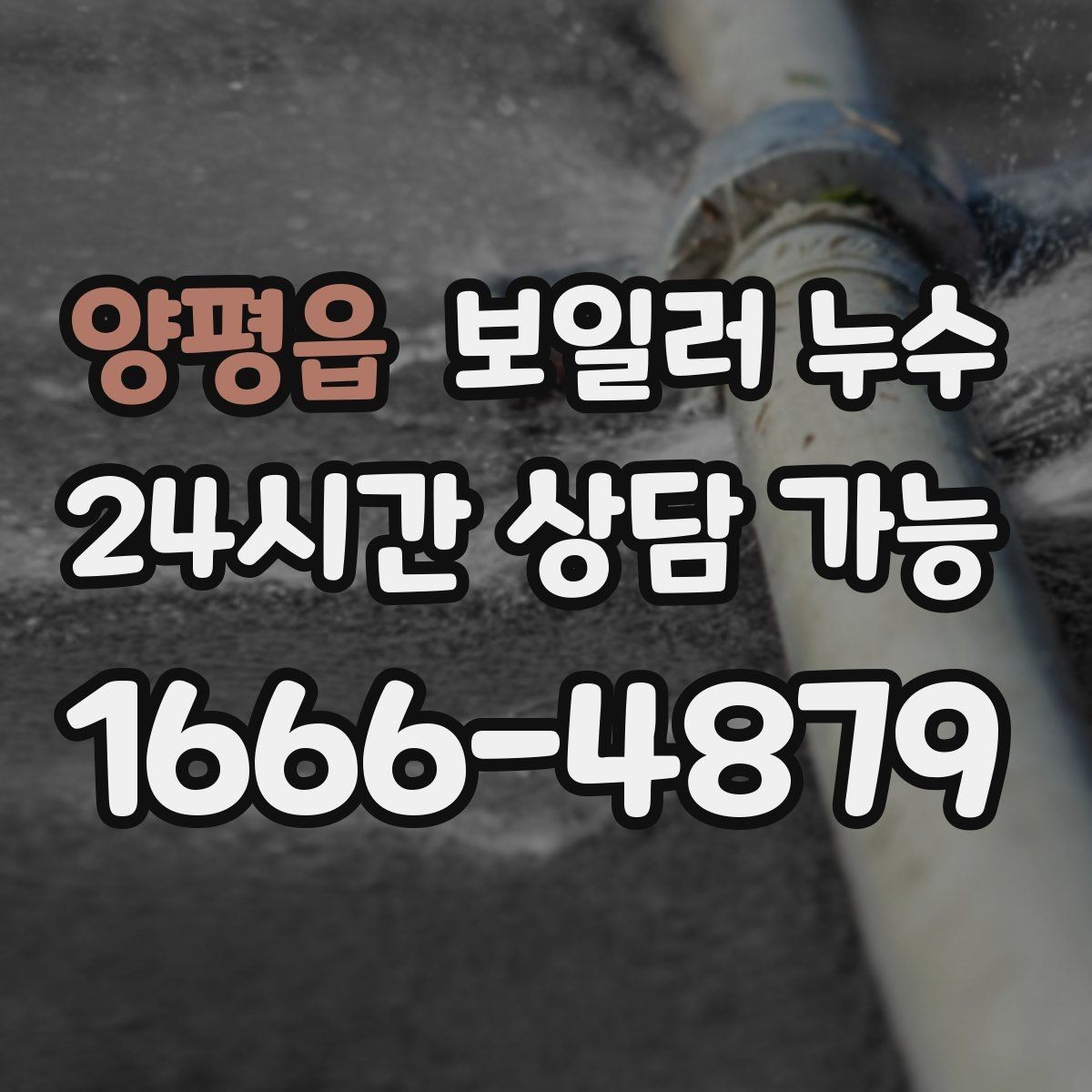 양평읍 보일러 누수 다용도실 바닥이 마르지 않는다면