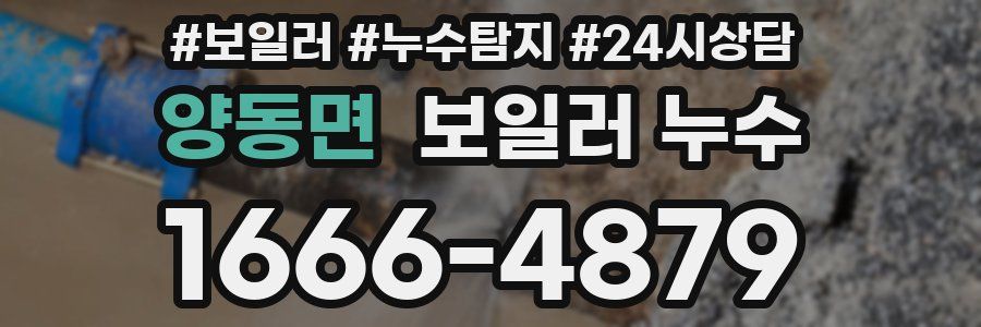 양동면 누수탐지