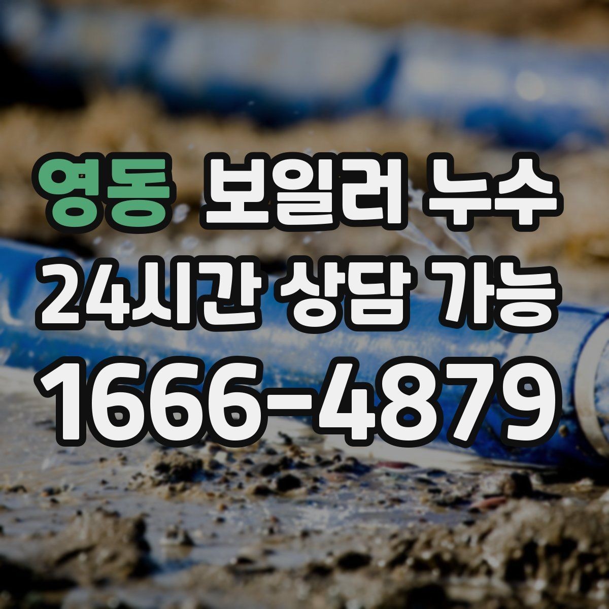영동 보일러 누수 곰팡이가 빨리 늘어나는 환경 정리