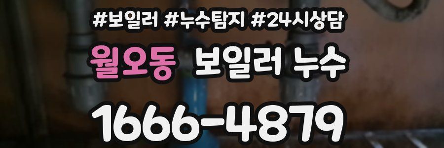 월오동 누수탐지