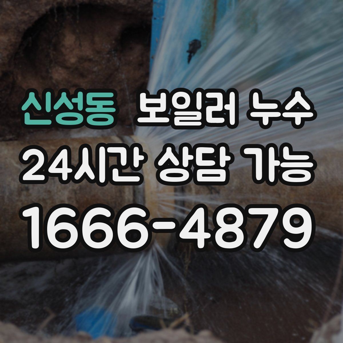 신성동 보일러 누수 바닥 변색이 먼저 나타나는 경우