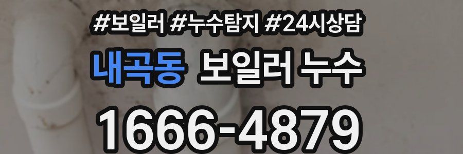 내곡동 누수탐지