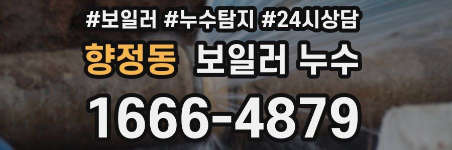 향정동 누수탐지