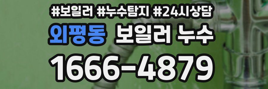 외평동 누수탐지