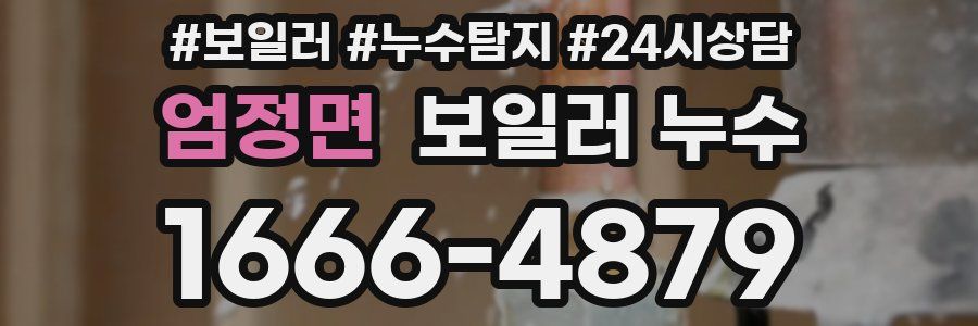 엄정면 누수탐지