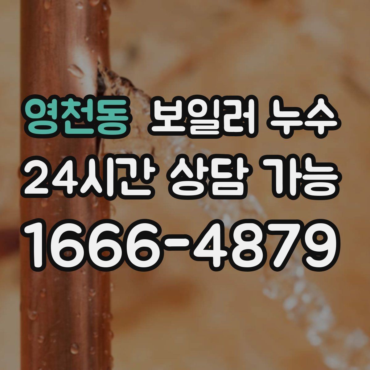 영천동 보일러 누수 빠르게 확인하고 피해를 줄이는 현실적인 순서