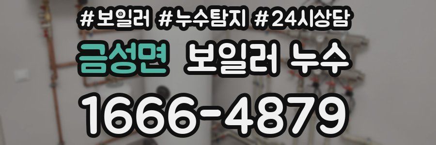 금성면 누수탐지