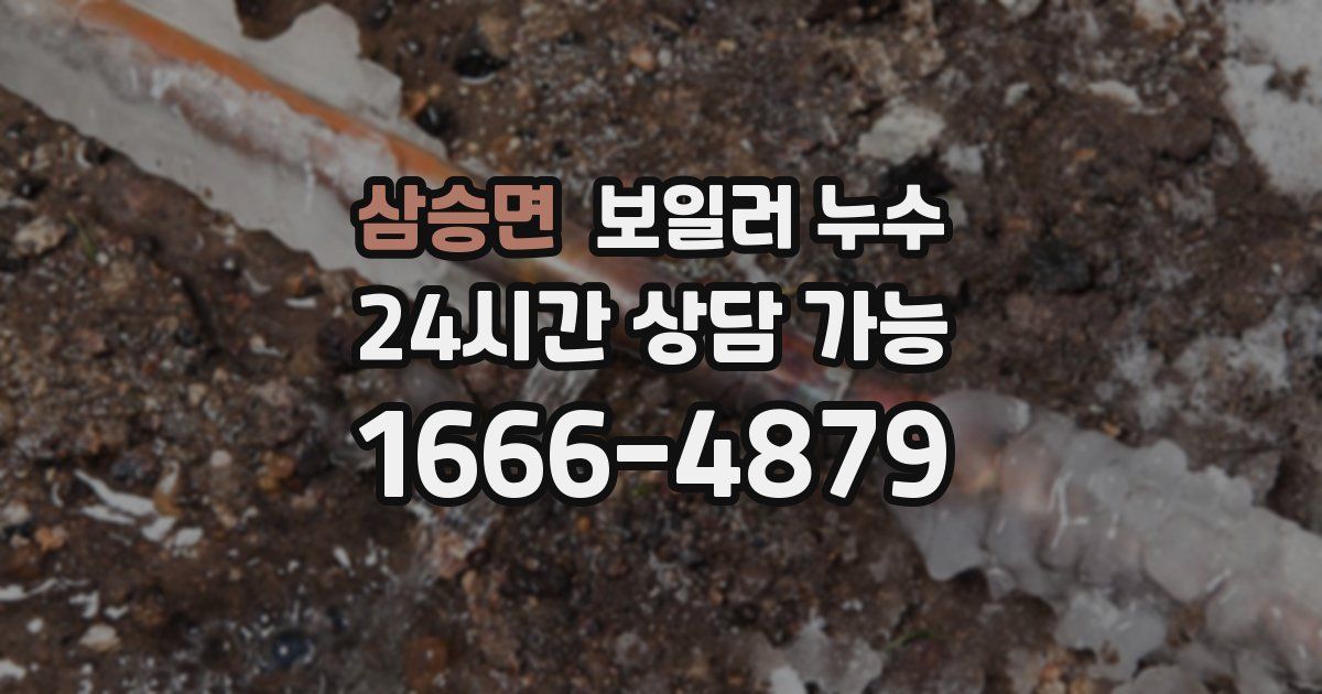 삼승면 보일러 누수