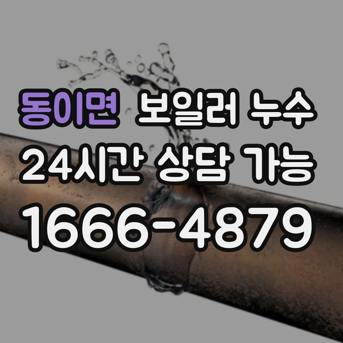 동이면 보일러 누수 장판 모서리가 검게 변할 때 확인