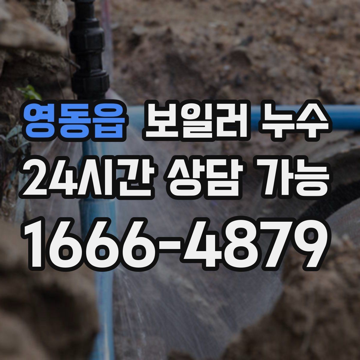 영동읍 보일러 누수 보일러실 바닥이 마르지 않을 때