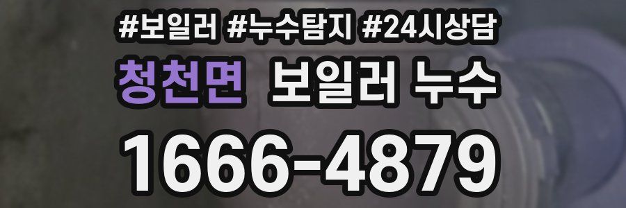 청천면 누수탐지