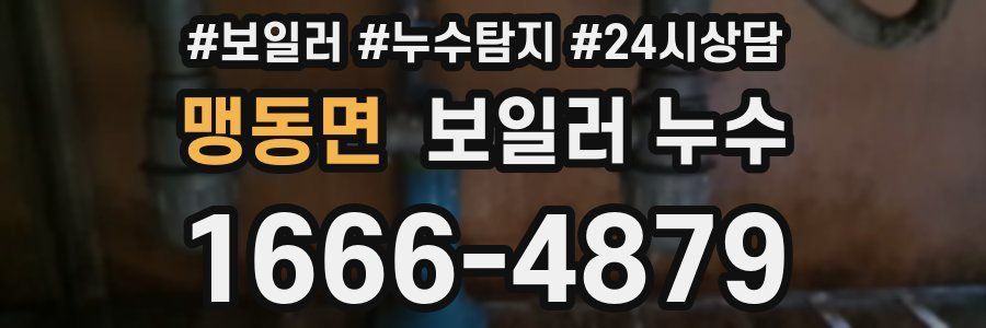 맹동면 누수탐지