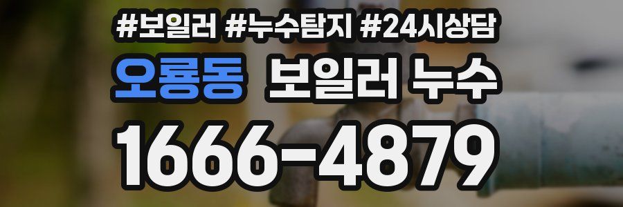 오룡동 누수탐지