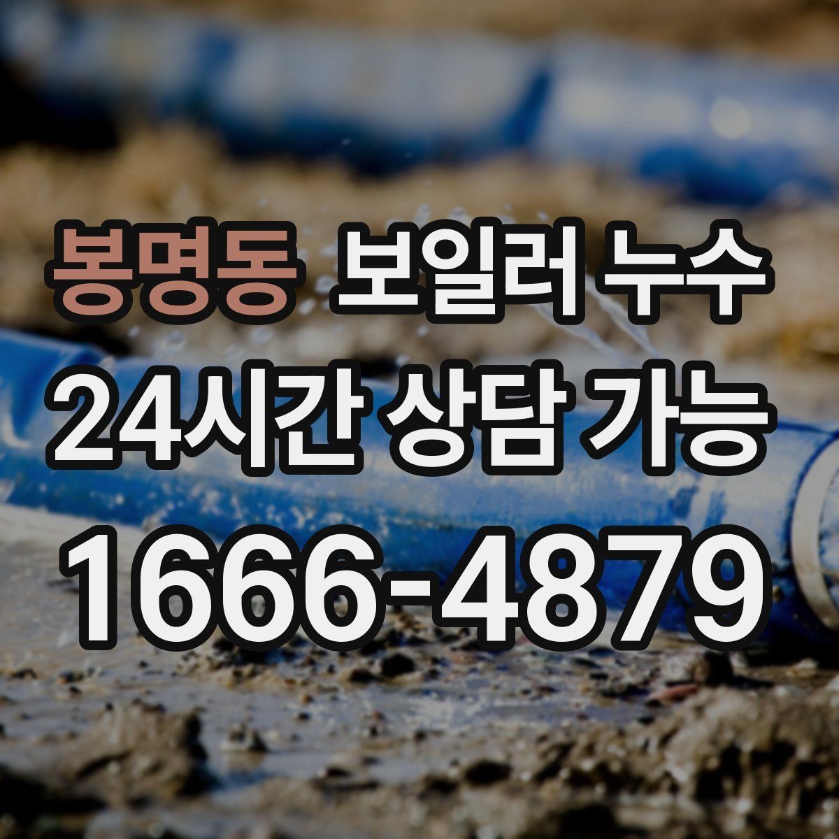 봉명동 보일러 누수 제습기를 돌려도 냄새가 남는 이유