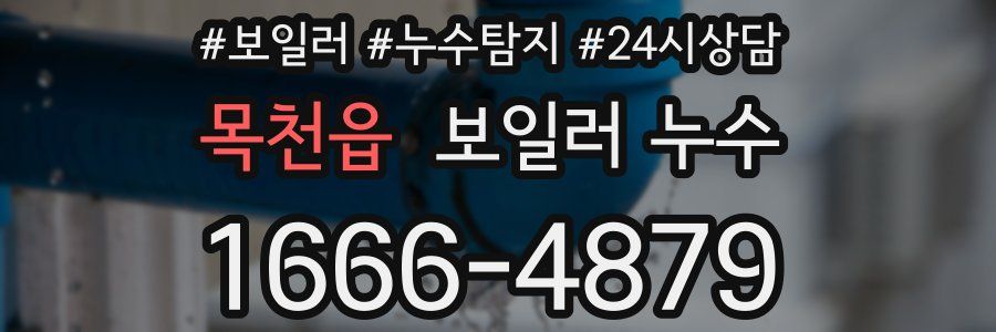 목천읍 누수탐지