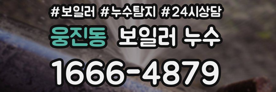 웅진동 누수탐지