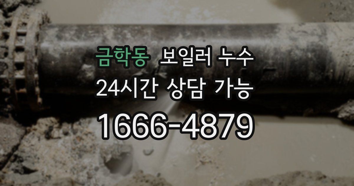 금학동 보일러 누수