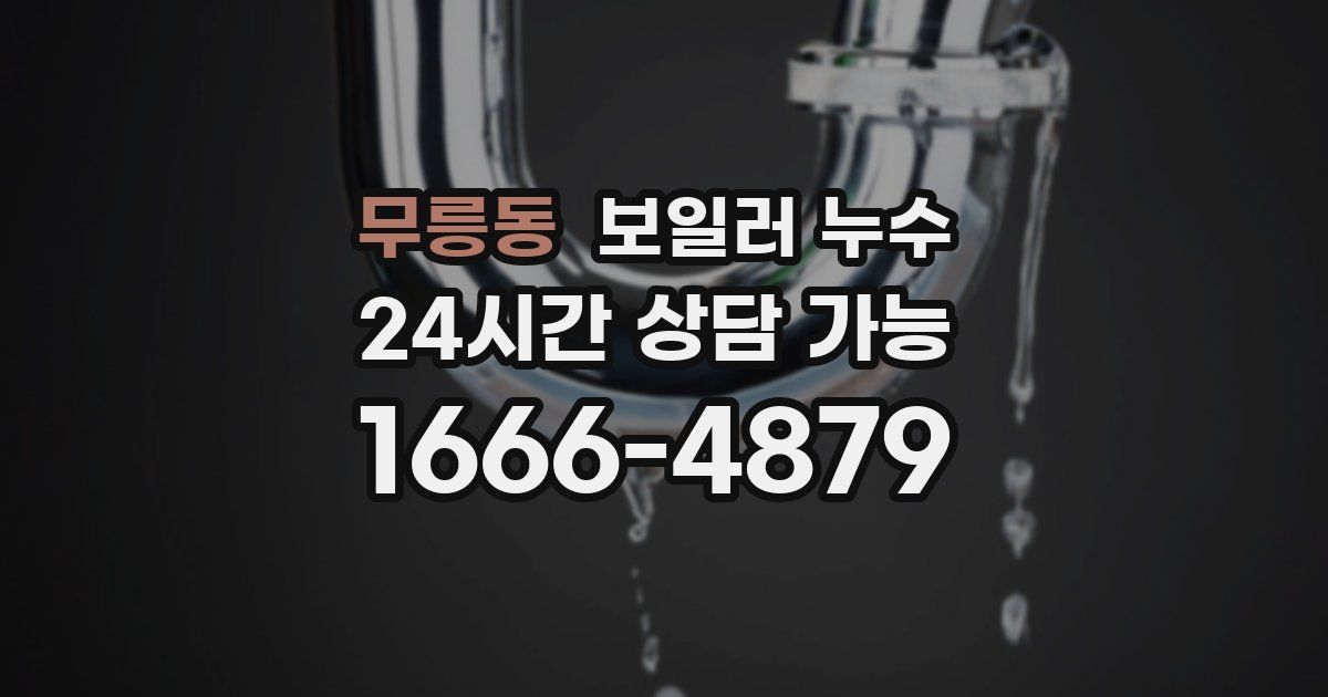 무릉동 보일러 누수