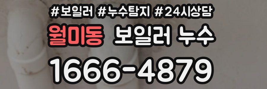 월미동 누수탐지