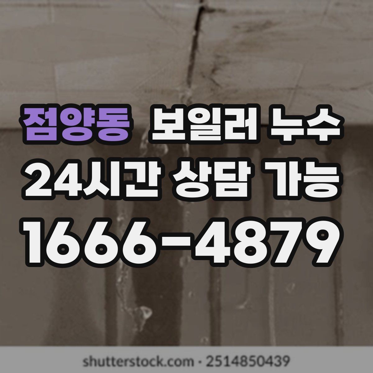 점양동 보일러 누수 장판을 뜯기 전 꼭 확인할 것