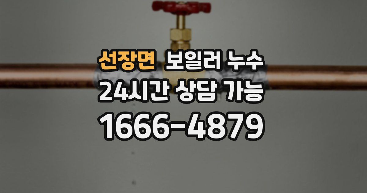 선장면 보일러 누수