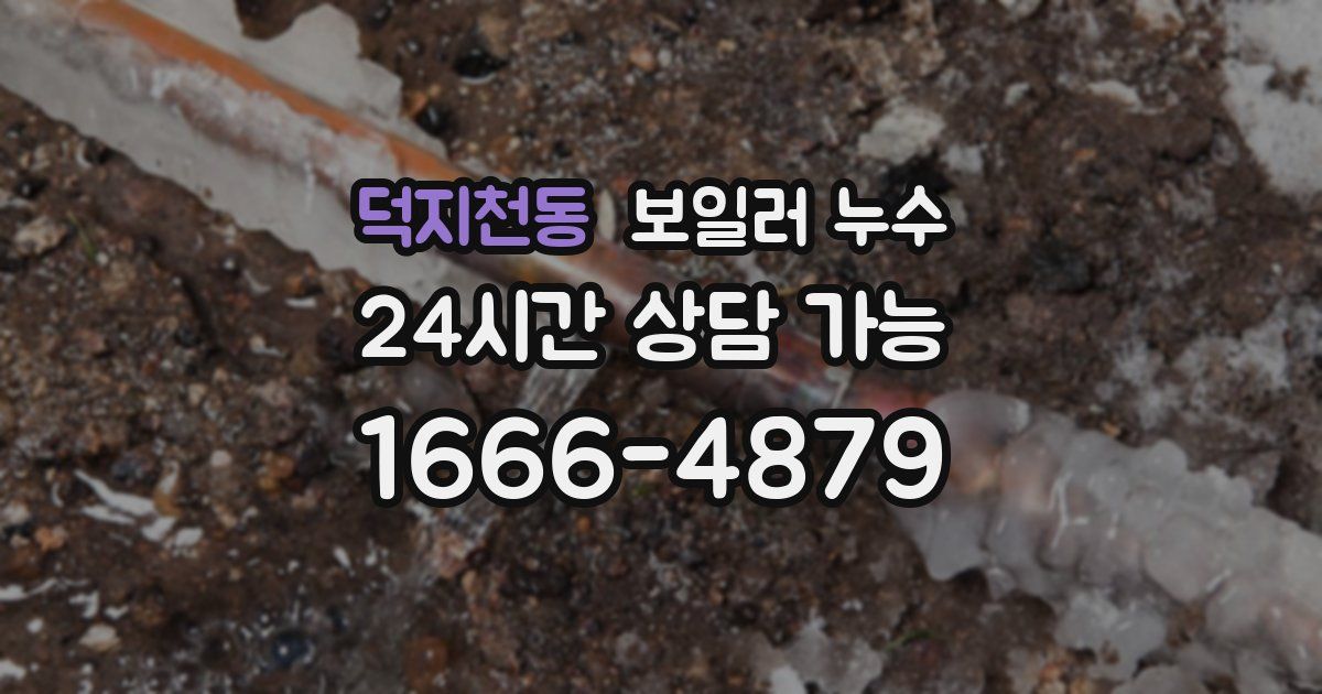 덕지천동 보일러 누수