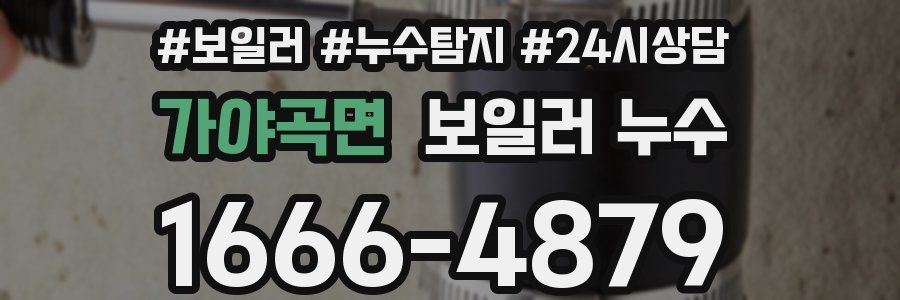 가야곡면 누수탐지