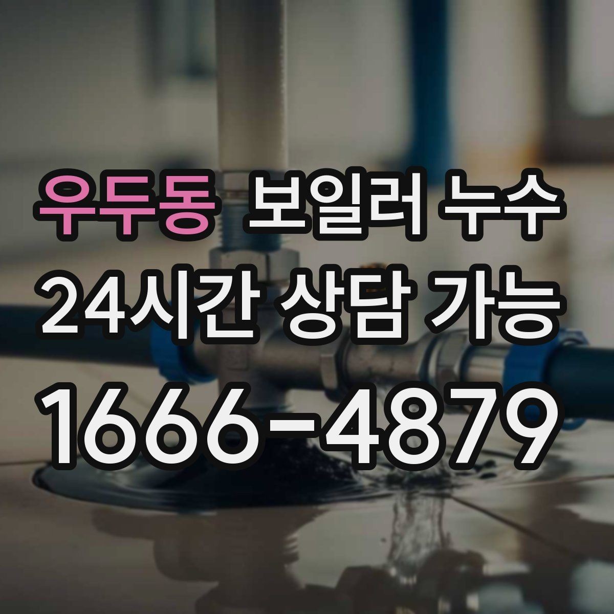 우두동 보일러 누수 장판 모서리가 검게 변할 때