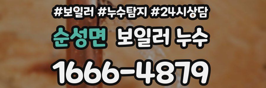 순성면 누수탐지