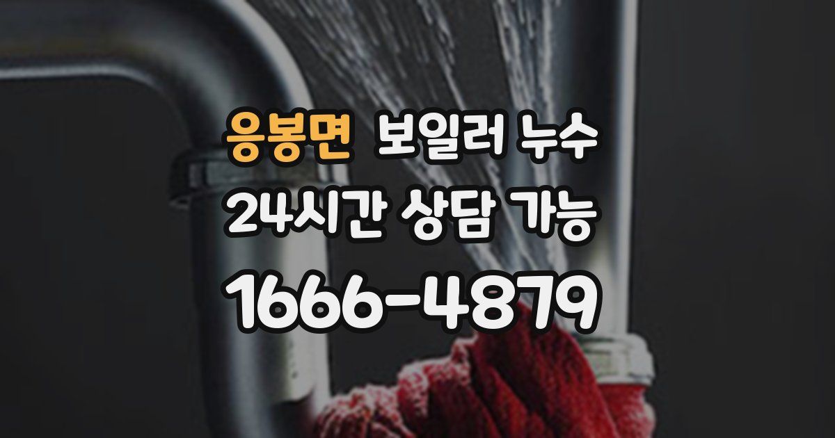 응봉면 보일러 누수