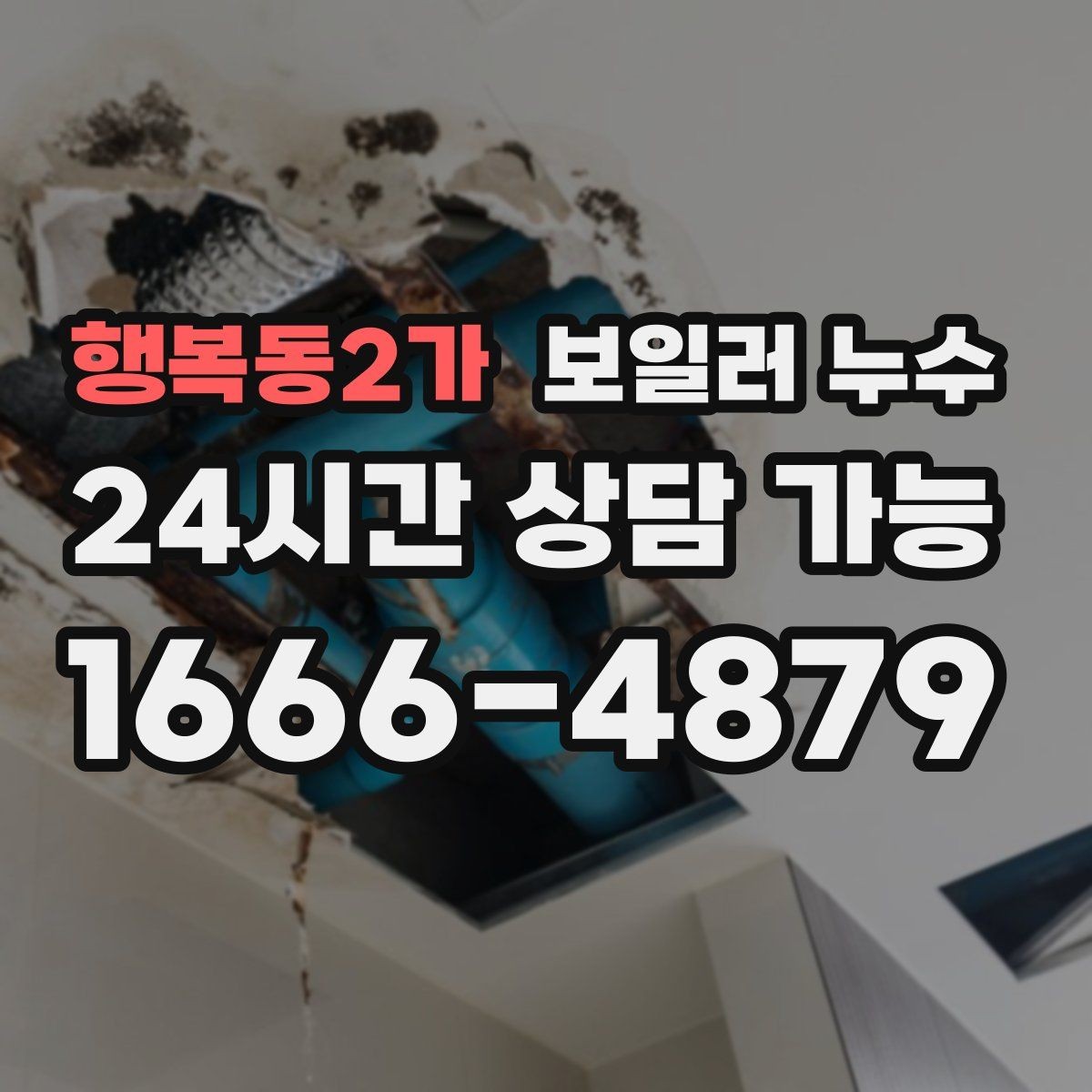 행복동2가 보일러 누수 벽면 아래쪽만 젖는 경우 점검 포인트