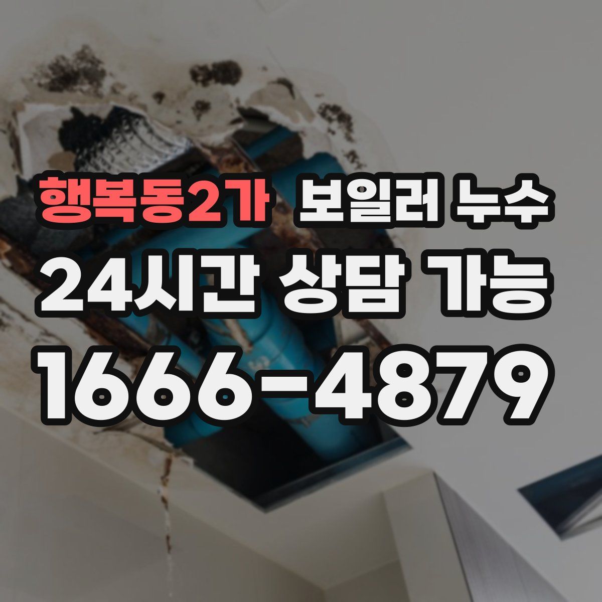 행복동2가 누수