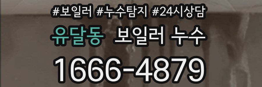 유달동 누수탐지