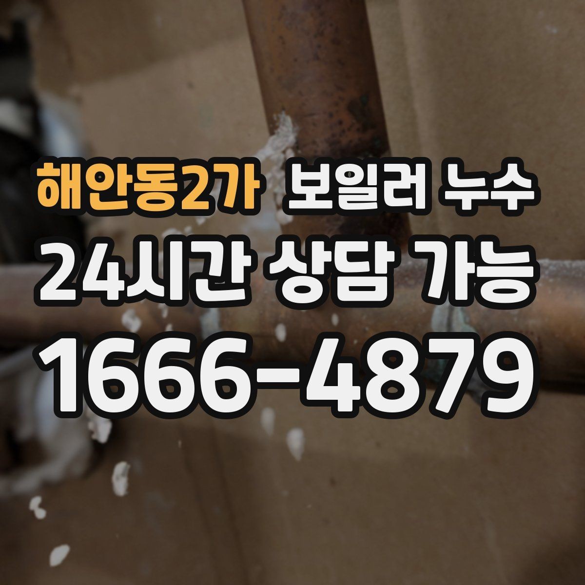 해안동2가 보일러 누수 곰팡이만 늘고 물자국이 적을 때