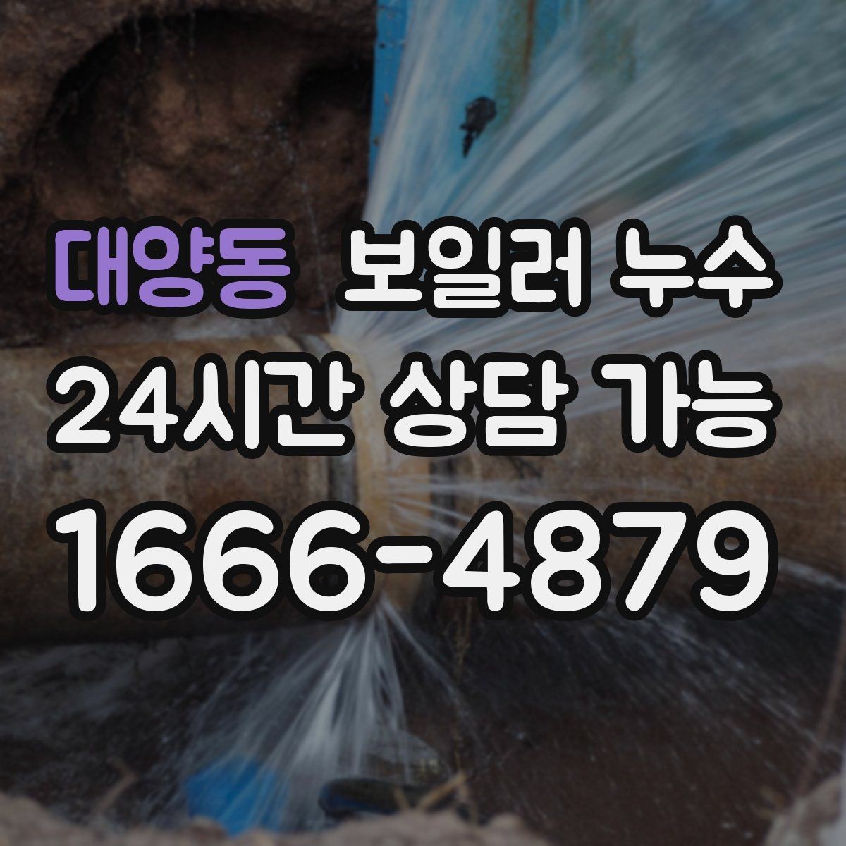 대양동 보일러 누수 곰팡이가 먼저 늘어나는 경우