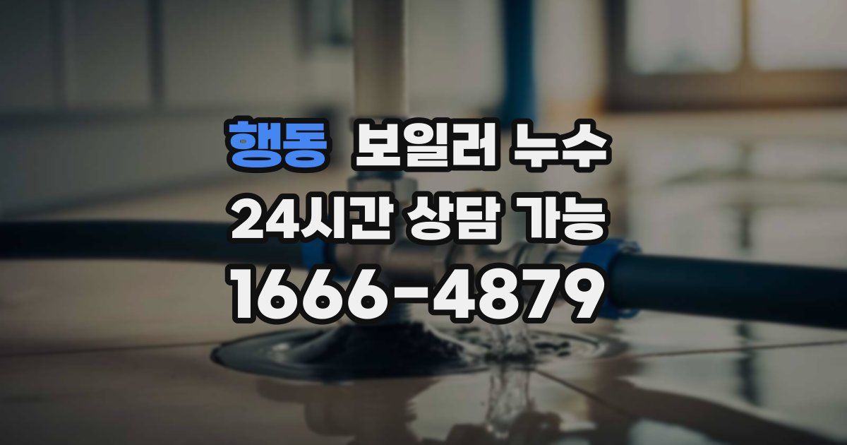 행동 보일러 누수