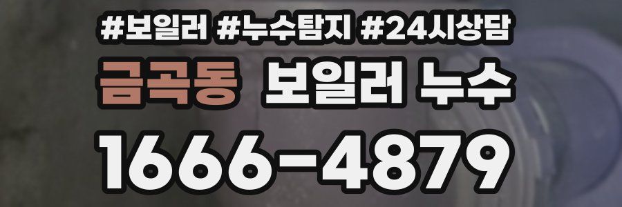 금곡동 누수탐지