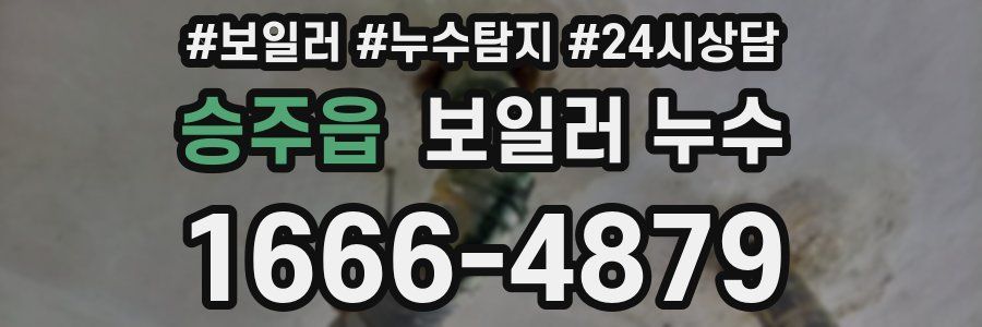 승주읍 누수탐지