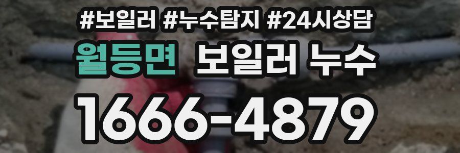 월등면 누수탐지