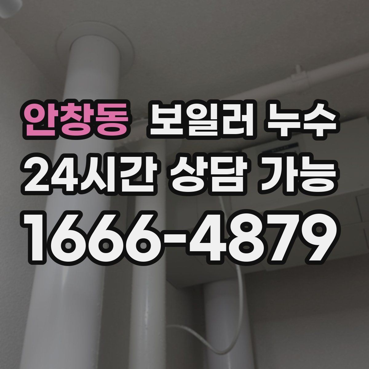 안창동 보일러 누수 마루 교체 전에 원인부터 잡아야 하는 이유