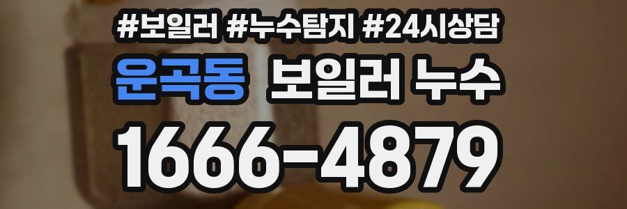 운곡동 누수탐지