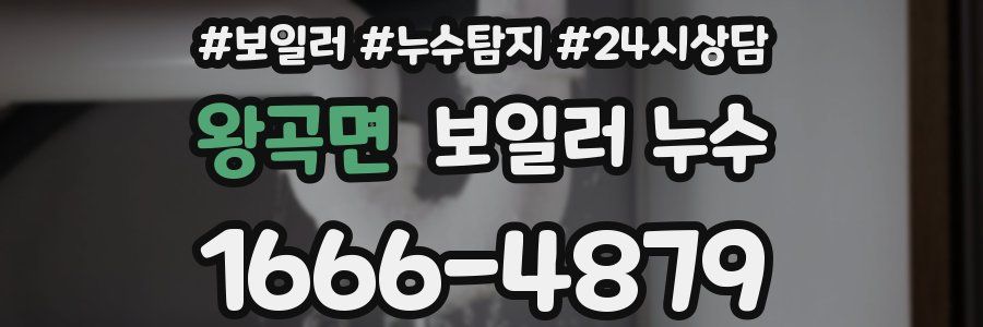 왕곡면 누수탐지