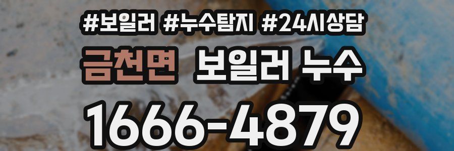 금천면 누수탐지