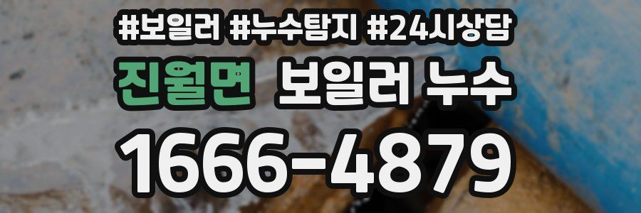 진월면 누수탐지