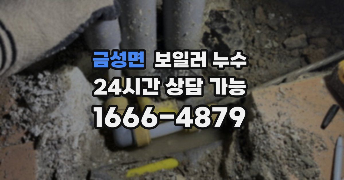 금성면 보일러 누수