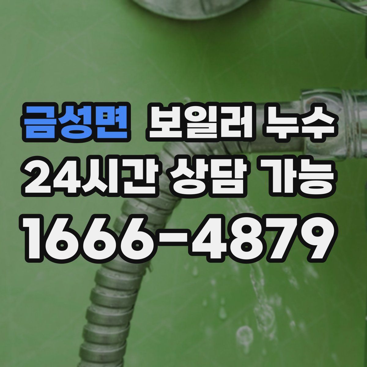 금성면 누수