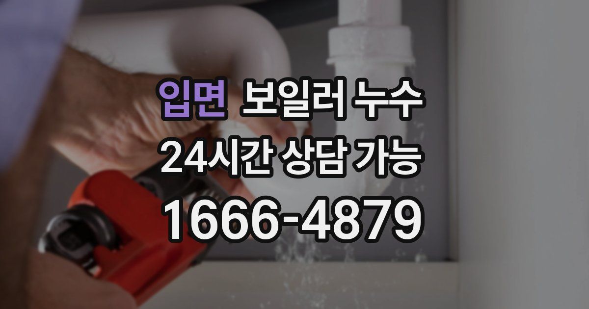 입면 보일러 누수