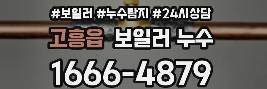 고흥읍 누수탐지